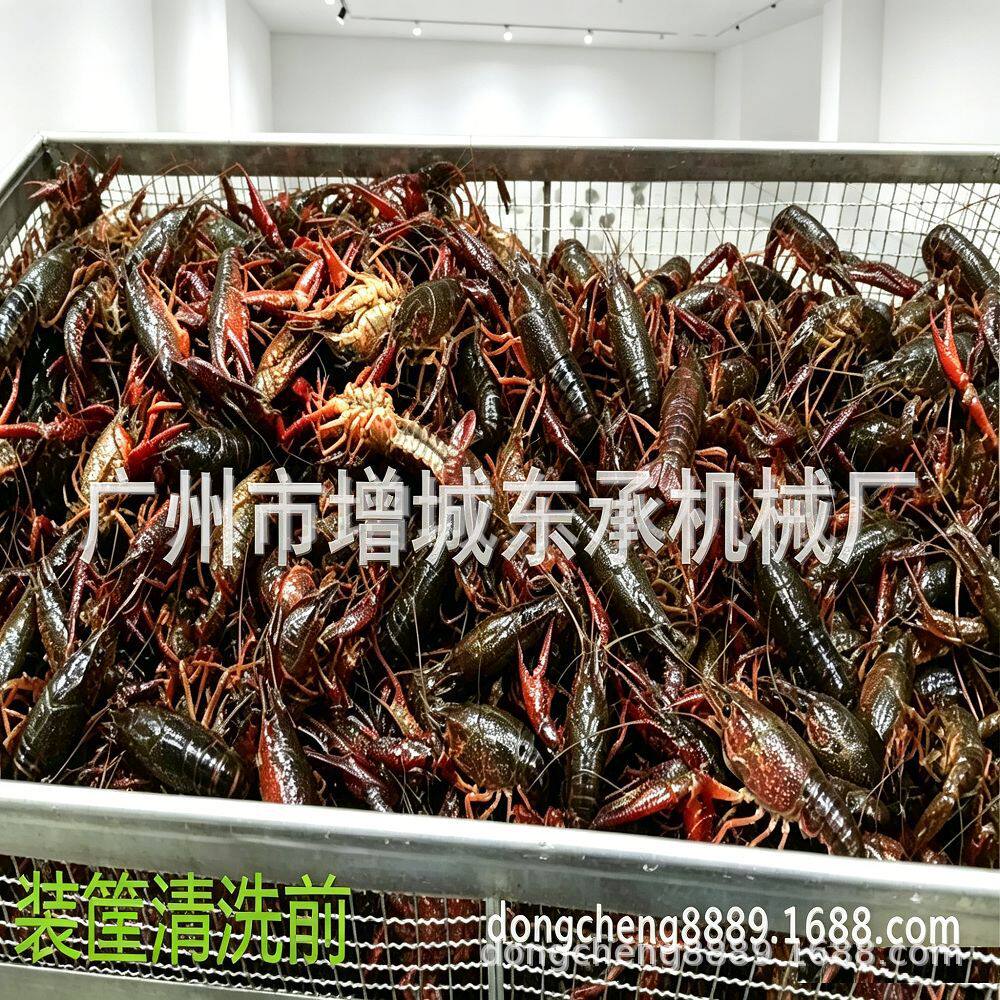 小龙虾工业气泡清洗机