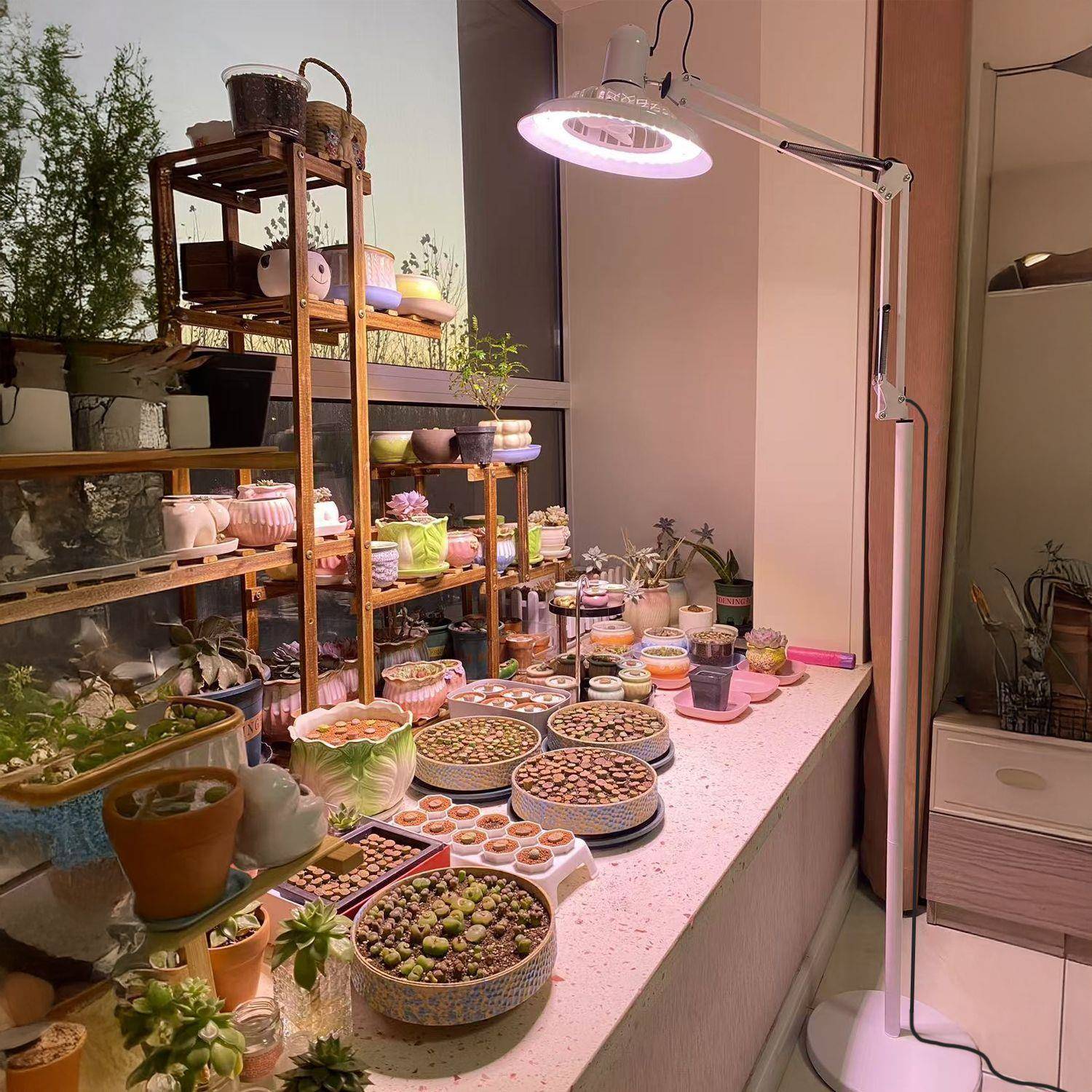 多肉光植物灯防徒落长促上仿太阳HQQ光地式生长灯室补内绿植风扇