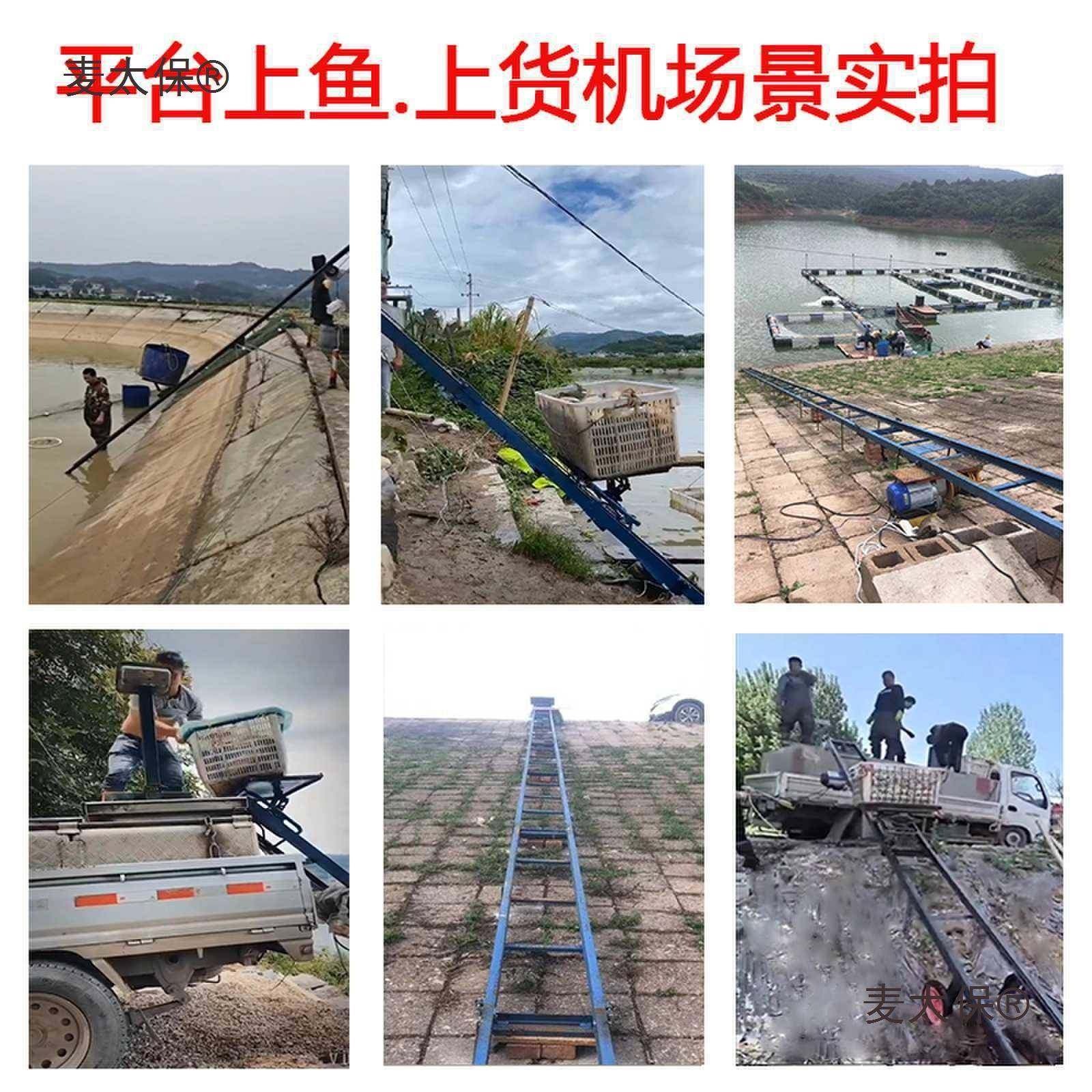 鱼塘上鱼机降机提升车上货升机电升WDZ动降装车卸货提升机上麦装
