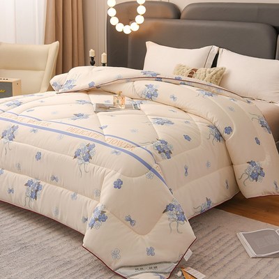 加厚被子冬被桑蚕丝被芯保暖全棉被褥冬款太空被双人春秋冬天家用