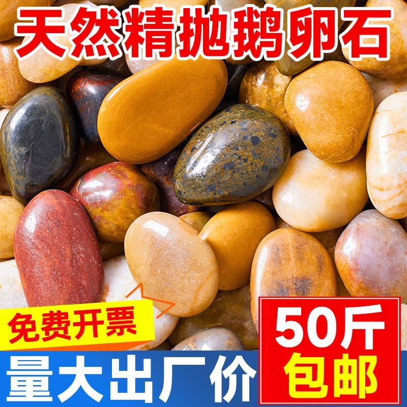 五彩鹅卵石天然铺地彩色石头雨花石鱼缸造景白大号原石子庭院