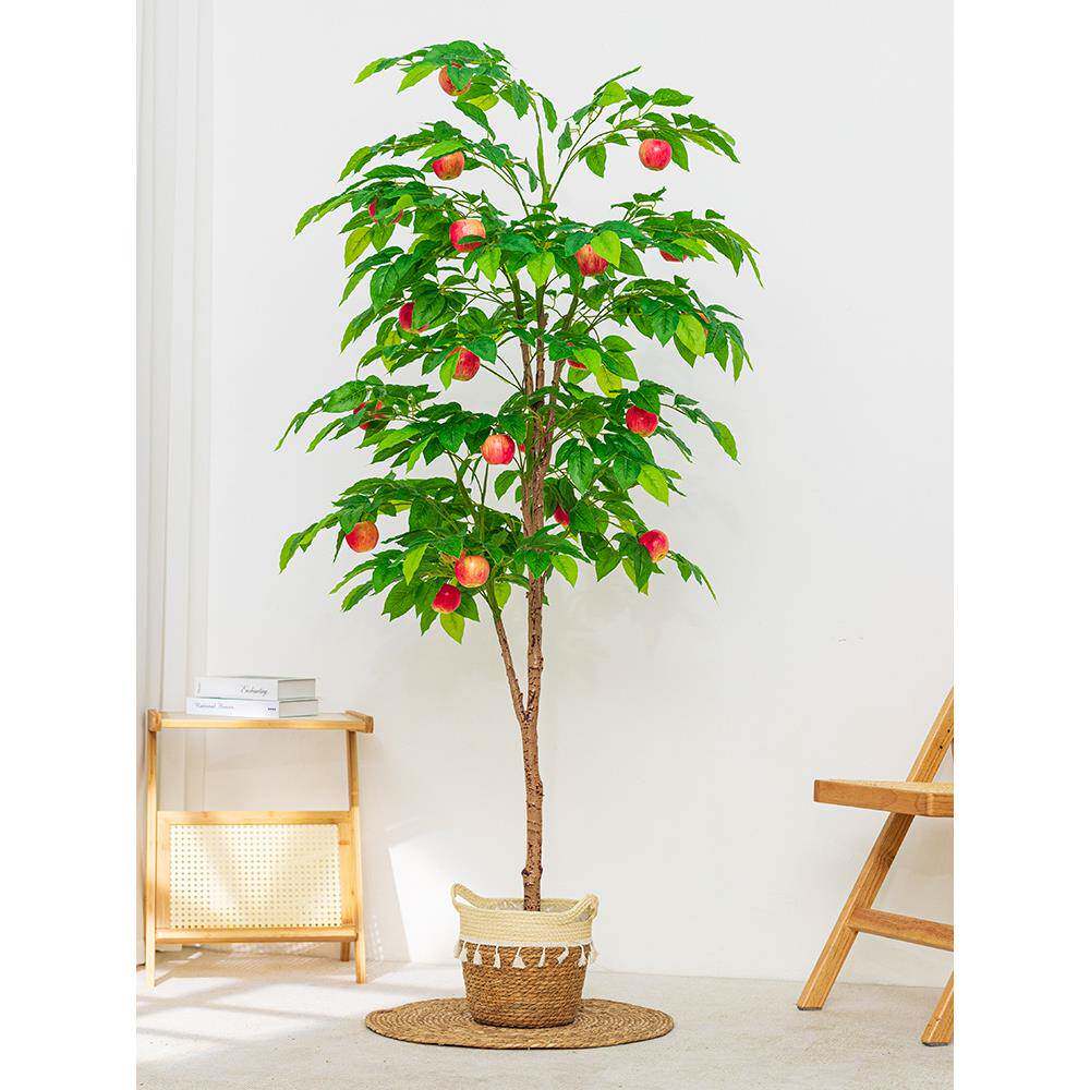 柠仿仿真绿植檬树盆栽水果树生假绿07145990植装饰客厅大型内落地