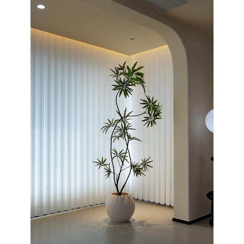 海树虹景品孔雀木招财仿89710752真绿植电视柜客落厅饰摆件假大型