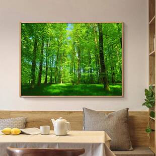 光大森林树林绿草地大自然风景画挂XXG画墙画绿色饰阳画壁装树画