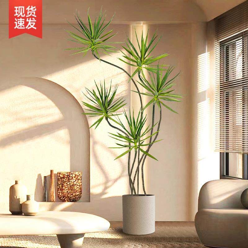 龙头血盆栽绿植室内大型客厅大盆景多龙铁树龙须树仿树真室jEzG7s