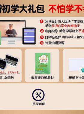 FI门FAN飞繁10孔PADDUYXRXE调专业演奏级布鲁斯口琴20入练习口琴