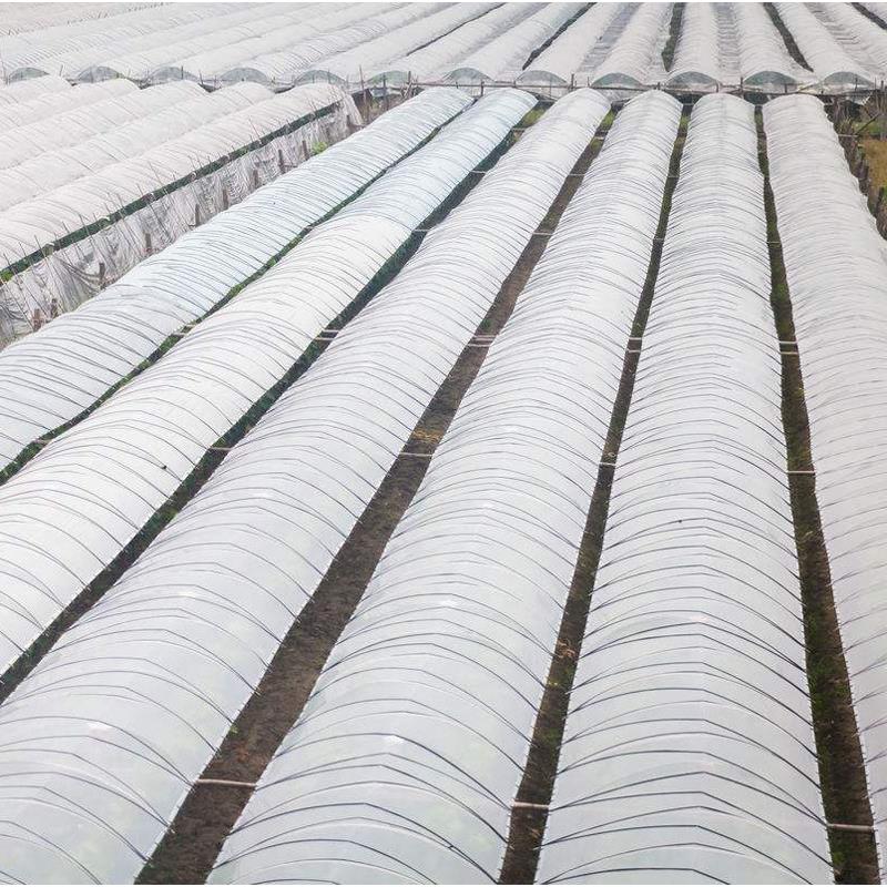 供应农用地膜，LDPE大棚膜，长寿无滴膜