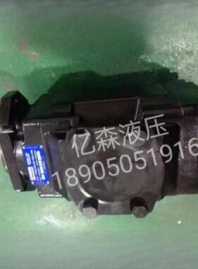 Denison丹尼逊双联叶片泵T7DDS E42 E20 1R00 A1M0/T7DDS-E41/E40