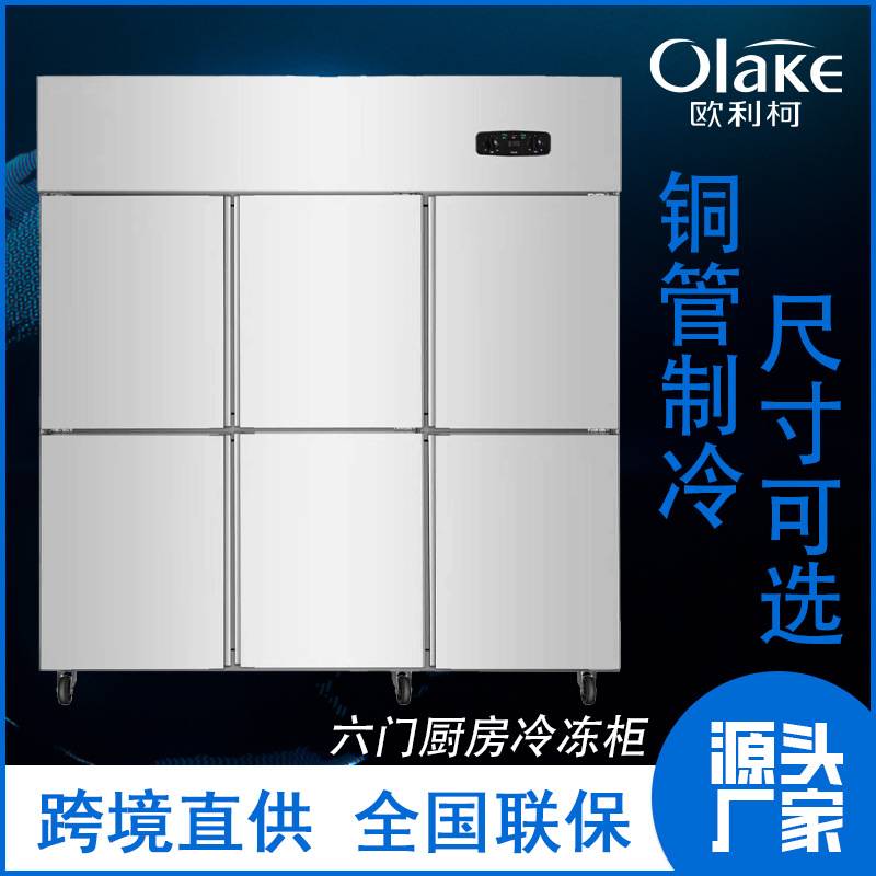 大容量冰箱定制冰柜商用双温双室冷藏柜冷冻柜厨房冷柜新品上市
