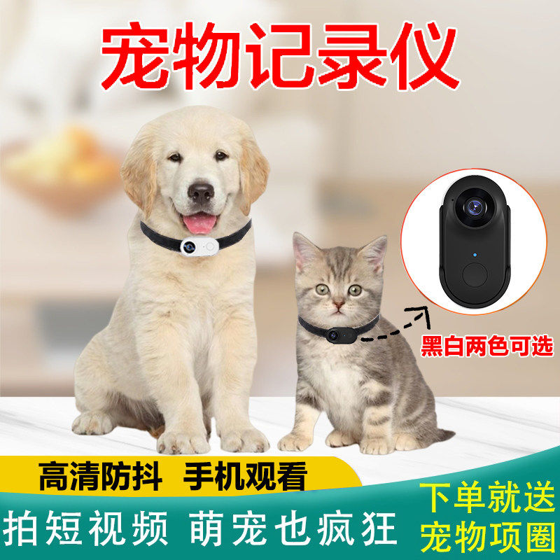 宠物记录仪猫狗视角直播录音录像