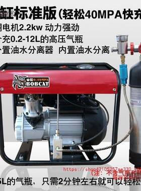 猫电动高打气机03mpa高压充压气泵18640mpa小型单山缸水冷打气麦