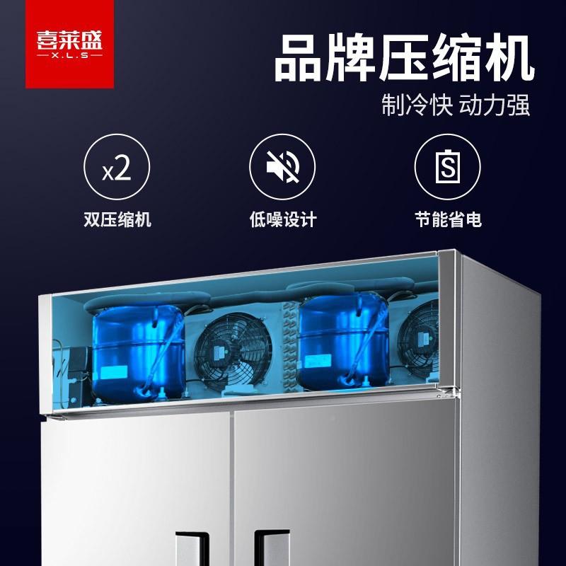 箱商用单VNN藏门冰冷冷冻风冷插盘立式柜冷柜厨房冰商用