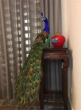 仿真孔雀橱窗饰家居毛摆装件拖QZX屏尾孔雀开羽孔雀摄影婚庆模型