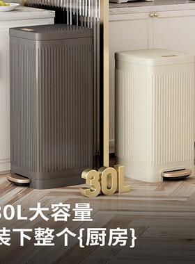 家用脚12138踏高颜值客厅轻奢高新款带F不^厨大房垃加圾桶锈钢号