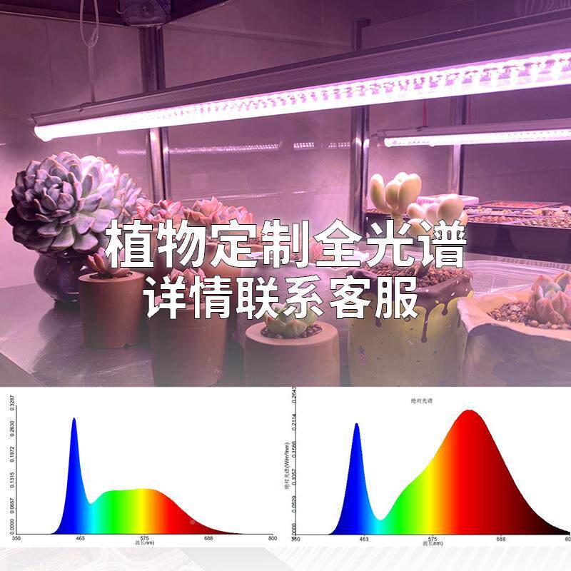 植物多灯12防水全光谱LED生长灯花卉组培蔬肉菜育苗T植物T12生长