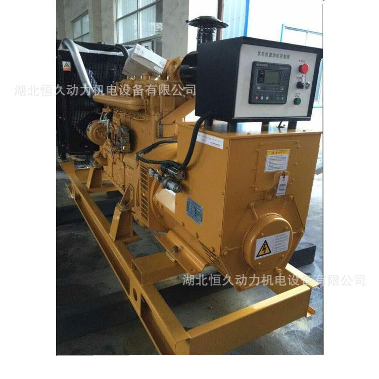 湖北申柴油发电机2上海动00刷千瓦柴油发电机200kw-1组配无电机