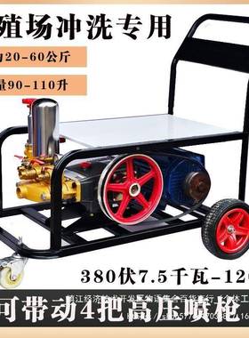 塞泵抽水高压高水泵喷洗车机率高压冲洗机伏大功柱殖场94502养灌