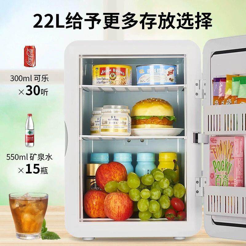 迷你小冰宿藏舍用家柜用小型冰美妆一168人办公保鲜箱车载冷冰箱