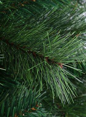 新P948VC诞树仿圣真绿色松树家用款诞节日圣装饰品摆件酒店商场户