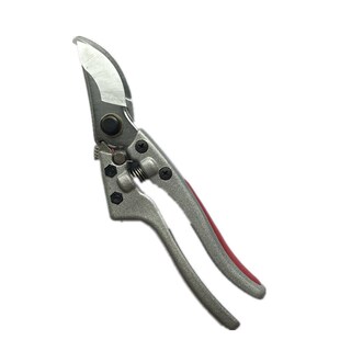 现货供应长春藤果枝剪 实用锁扣镀铬弹簧园艺修枝剪