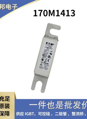 170M6929 170M6930 170M6936 170M6938原包快速熔断器 熔丝