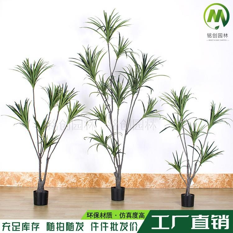 大型绿植装饰千年木铁树仿真龙血树假绿植室内软装造景仿真绿植