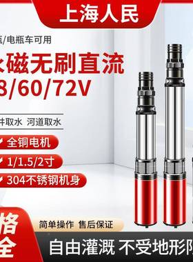 上海人永高磁无刷直流深TLS井泵48/0v扬程不民锈6钢无刷直流潜水