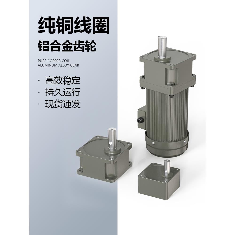 调减速电机220V速变电齿轮速微型马10083901达单三相低速输送带机