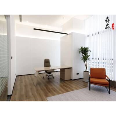 意烤漆式书轻奢老板桌简约现代设字计师办公桌椅医美咨询椅桌3.66