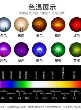 505WS28125B无品牌/500幻彩灯珠透明雾0胶体可编程幻彩灯状珠