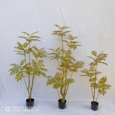 仿真漆木树香树盆栽仿真绿植厅盆栽仿真漆木椿室内客摆件橱窗装饰