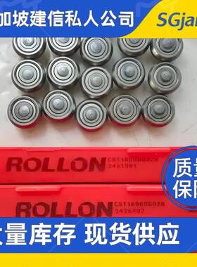 意大利进口RDOLLON滚轮MS6320-50-2101-LS2N35-10-128590-450轴承