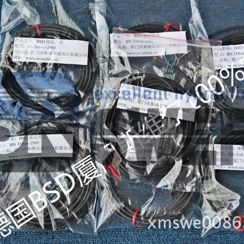 BN310-RZ-2503 德国BSD接近开关中国服务中心