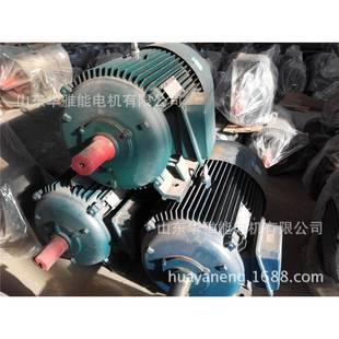 50HZ铝壳1L电防机护等YP2 4B3电机380V 112M级I等P551F 12M