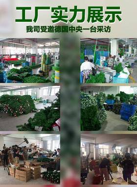 热销圣诞树圣诞节树装饰摆件叶150-240cm密枝P加VC可变光新273款