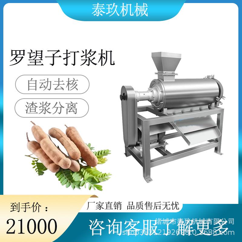 罗望子去核打浆机青枣去核榨汁机水果去核打浆设备红枣去核打泥机