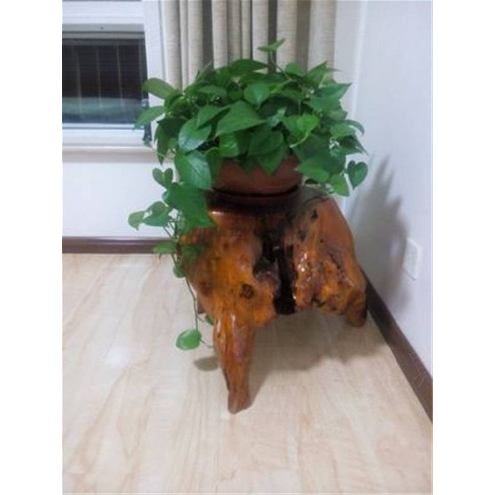 原木根雕凳子天然坐凳花架底座木墩摆件实木树桩木凳树根木桩杉木