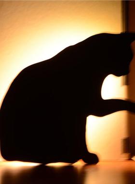 造创意LE猫咪小狗剪影DEE感应装灯D动物型墙壁饰小夜灯起夜喂奶灯