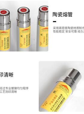 12KKV高压高分段限流熔断UCL器RNT-10V/10AX16A40A环网柜2熔管