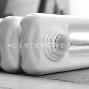 客厅家用壁式钢气制暖片钢二柱气三柱散热器1.61.41618米挂循环水