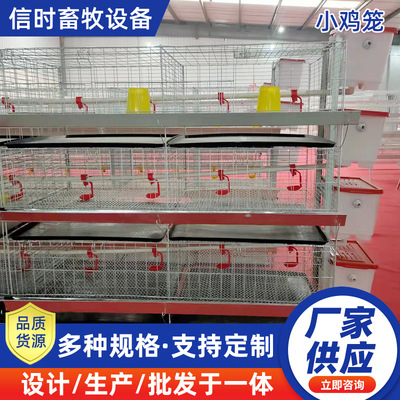 自动化育雏笼四层一体鸡笼养殖场家用肉鸡笼立体鸡笼加密雏鸡笼子