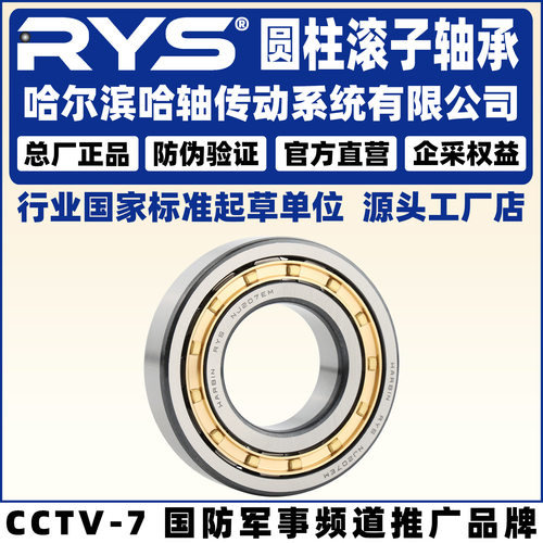RYS哈轴传动圆柱滚子轴承