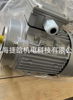 DEL1IL铝壳电机马达GS90L-4GS100L1-9124GS10L2-40GS12M-4