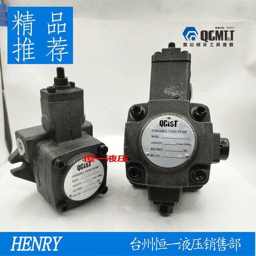 QCIST秦川机床数控油泵VVP15B/20 VVP20B/35 VVP30B/55 VVP40B/70