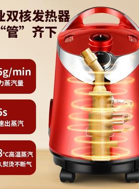 家用挂烫机服熨装熨店商用烫机立式74763蒸大汽功率电斗