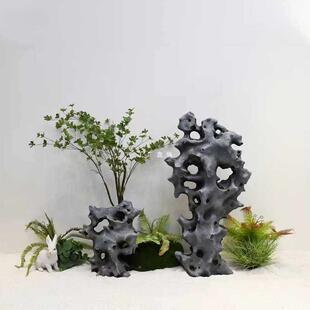 751太湖石造景绿石窟窿石室内山摆件庭假院微景观F8756S55石假植