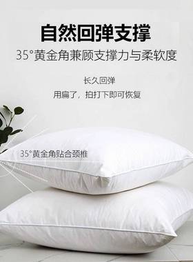 背ABE鹅毛羽绒抱枕内胆4x54550方形羽芯毛靠枕芯酒店沙发腰靠靠垫