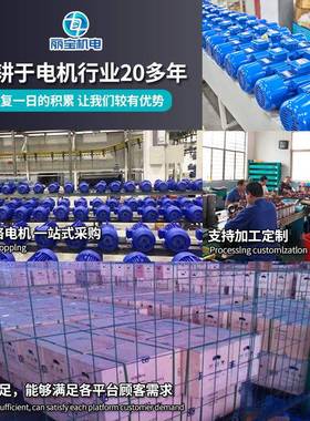 三相电机0.75/1.1VMB/.5/2.2/4/5.5马/k7.5/11/15/221w铜线132油