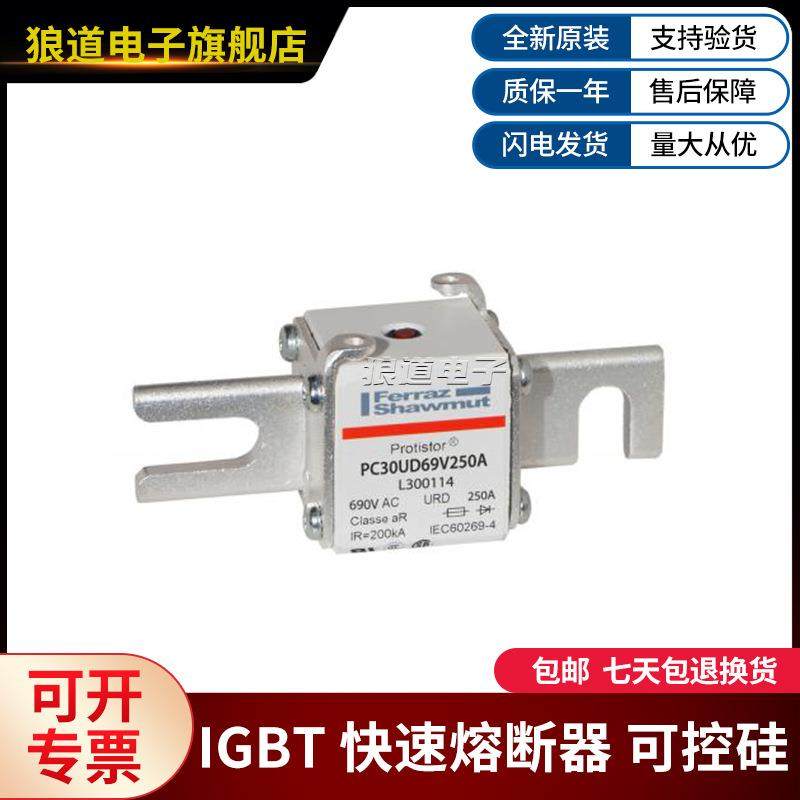 PC360D69V20TF-X300055PUC30U0D9V250A-L300114罗SPK兰快速熔断器,饰品/流行首饰/时尚饰品新,其他DIY饰品配件,淘宝优惠券,粉丝福利购,淘宝优惠卷