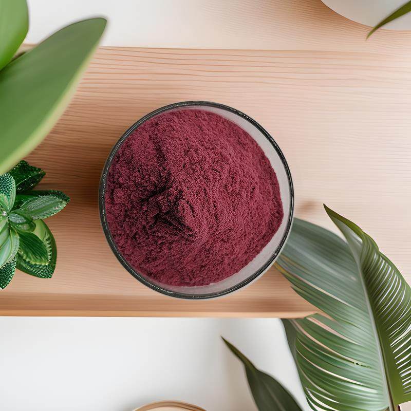 碧萝芷 海岸松提取物 花青素粉,玩具/童车/益智/积木/模型,毛绒/玩偶/公仔/布艺类玩具,淘宝优惠券,粉丝福利购,淘宝优惠卷